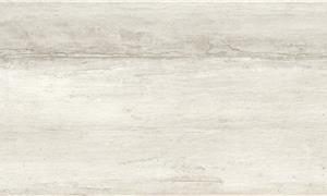 Matrix White Plank Matte 9X48