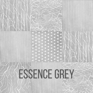 Essence Grey S Matte 10X10