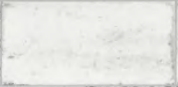 Vita Blanco