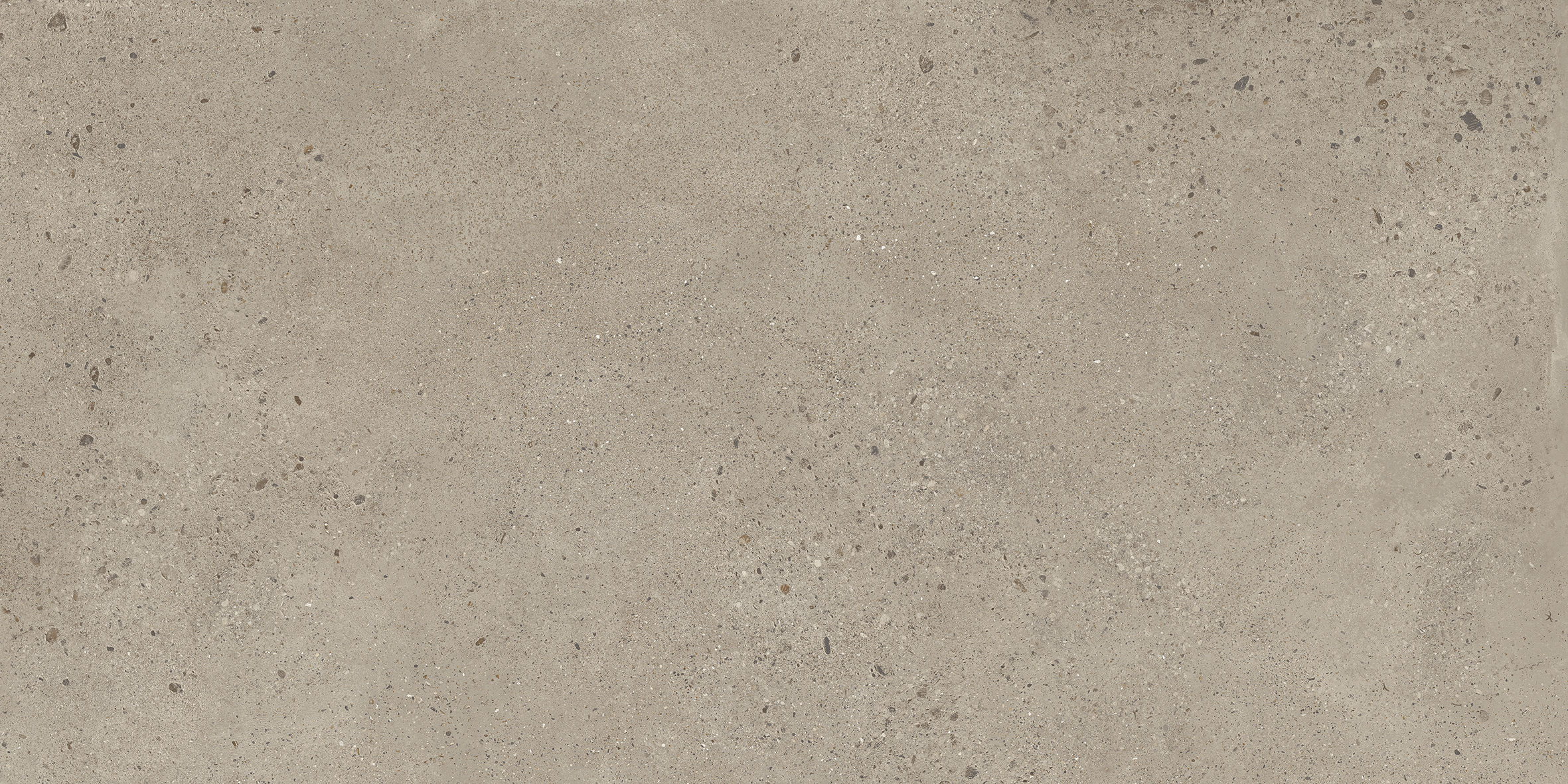 Dune Ecru Matte 36X36