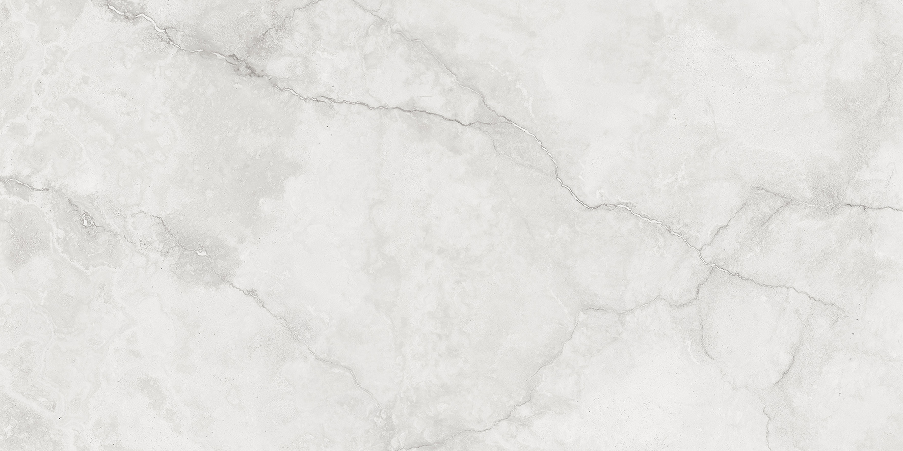 Heiress White Matte 24X48