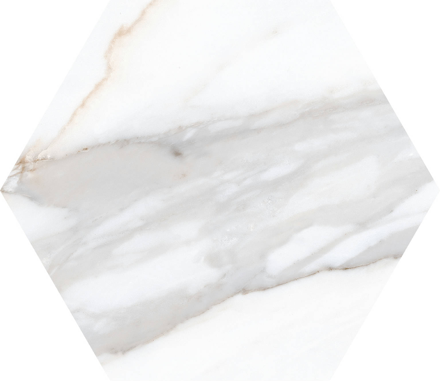 Hex22 Bianco Hexagon Matte 22X22