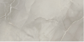 Marble Tech Grey Lappato 24X48