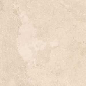 Port Beige Matte 24X48