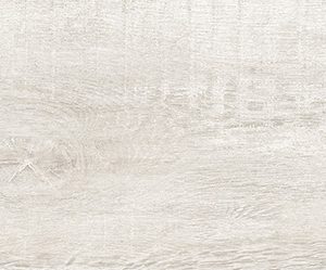 Evergreen Bianco Plank Matte 9.5X48