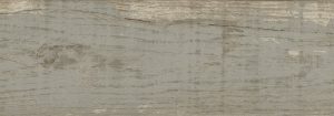 Wisconsin Ash