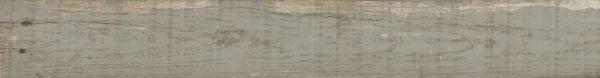 Wisconsin Ash